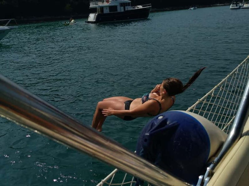 Vrsar: Dolphin Watching and Sightseeing Private Day Cruise - The Sum Up