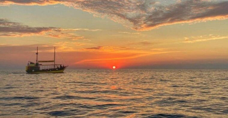 vrsar-dolphin-watching-boat-tour-including-drinks