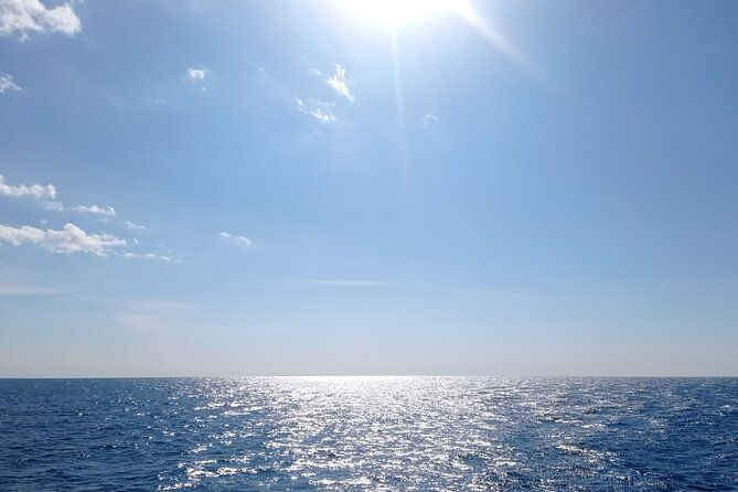 vrsar-lim-fjord-and-rovinj-day-tour-by-boat-with-drinks-2