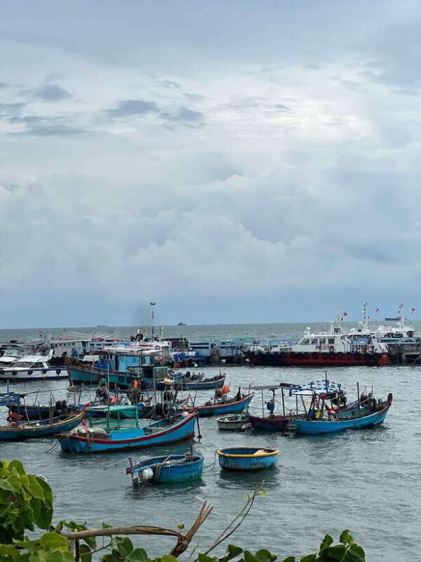 Vung Tau City Sightseeing Private Tour From Ho Chi Minh City - Practical Details: From Logistics to Tips