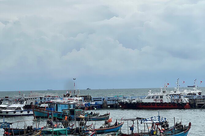 Vung Tau City Sightseeing Shore Excursion Tour From Phu My Port - What You Can Expect From the Experience