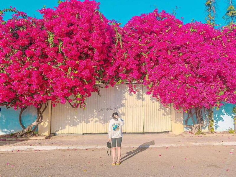 Vung Tau City Sightseeing Tour By Speedboat From Ho Chi Minh - FAQ