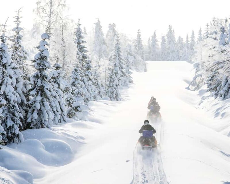 Vuokatti: Snowmobile Safari with Lunch at Haapala BnB - Key Points