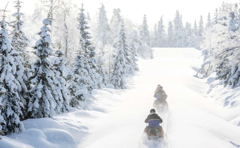Vuokatti: Snowmobile Safari with Snacks and Hot Drinks - Who this experience suits best: