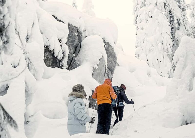 Vuokatti: Snowshoeing Adventure in the Forest - A Detailed Look at the Snowshoeing Adventure