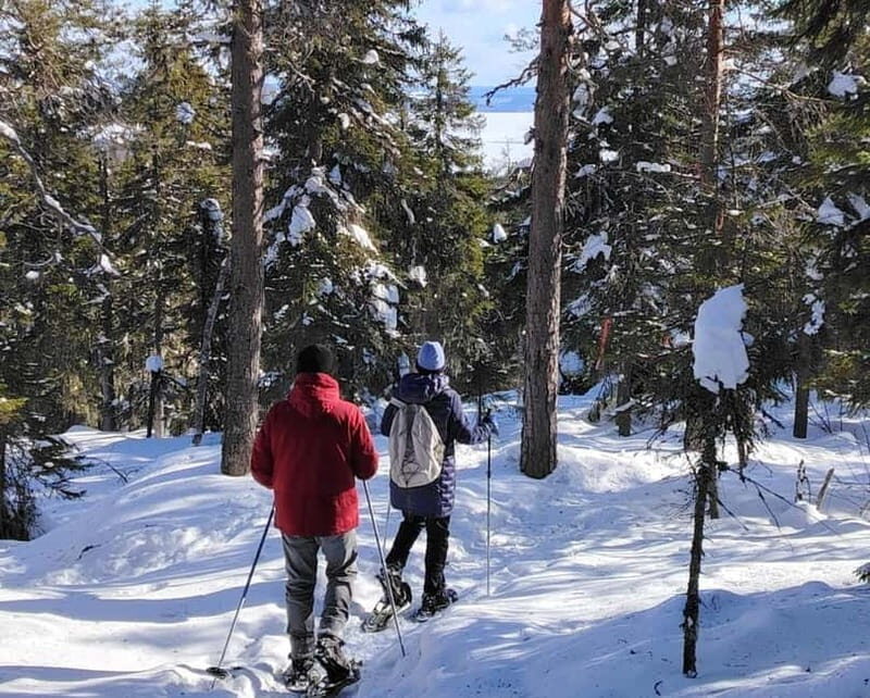 Vuokatti: Snowshoeing Adventure in the Forest - Introduction to the Snowshoeing Experience in Vuokatti