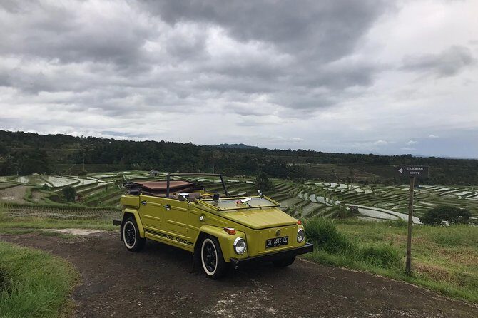 VW Safari,Bayan Ancient Tree,Jatiluwih,Wanagiri,Banyumala Twin Waterfalls - The Sum Up: Is This Tour Right for You?