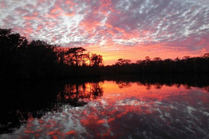 waccamaw-river-nature-and-wildlife-tour