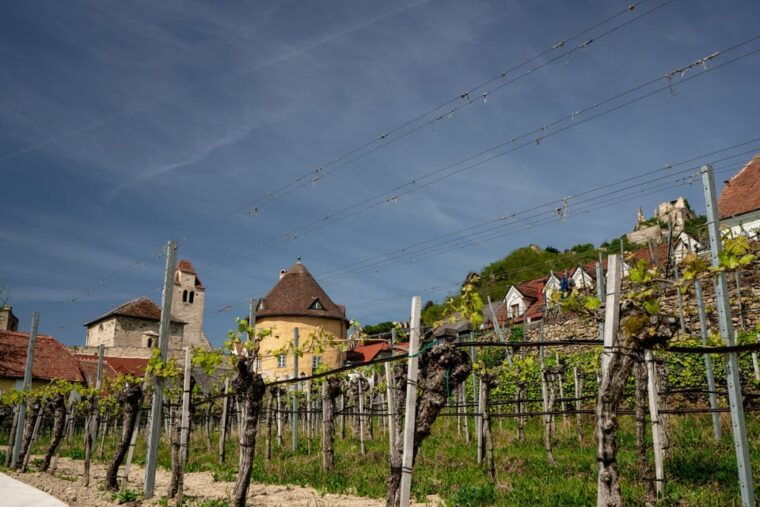 wachau-valley-3-castles-wine-private-guided-day-tour