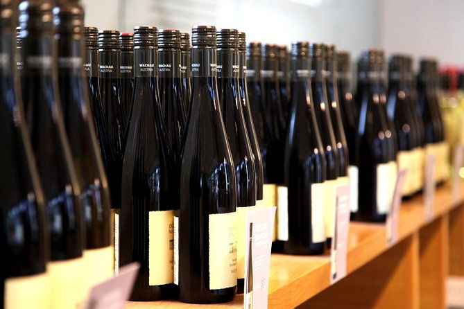 wachau-valley-wine-tasting-bike-tour-from-vienna