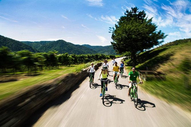 wachau-valley-wine-tasting-bike-tour-from-vienna