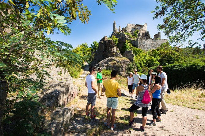 wachau-valley-wine-tasting-bike-tour-from-vienna