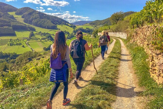 wachau-world-heritage-hike-2