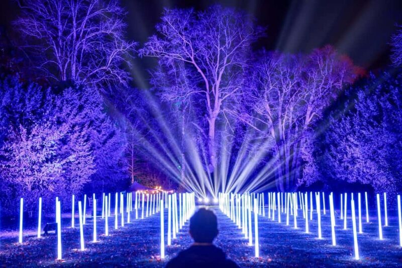 Waddesdon: Christmas at Waddesdon Manor - The Sum Up