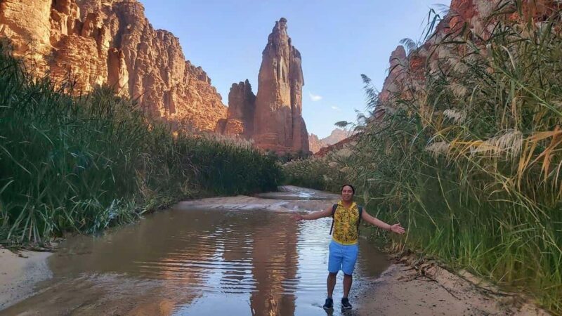 Wadi Al Disah Day Tour From Al Ula - The Value of the Experience