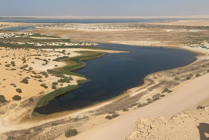 Wadi Al Hitan Day Trip From Cairo - Wadi Al Hitan Day Trip From Cairo: An Authentic Adventure into Egypt’s Prehistoric Past