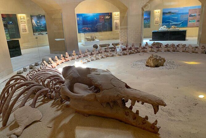 Wadi Al Hitan Day Trip From Cairo - Key Points