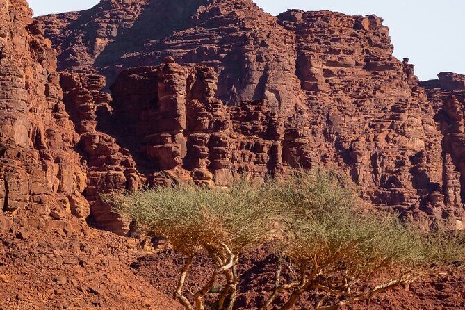Wadi Disah Adventure from Tabuk | Al Ula - FAQs
