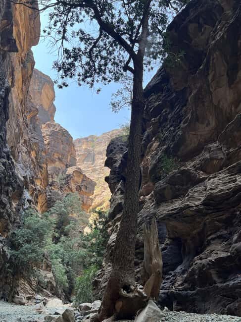 Wadi Lajab Canyon Hiking Tour - Practical Details and Tips