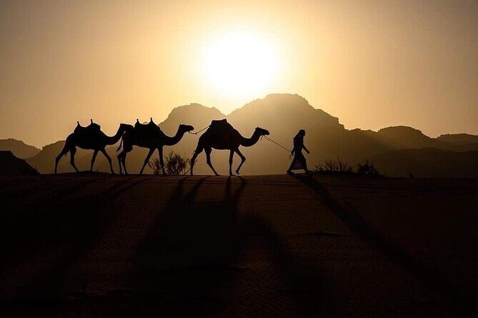 Wadi Mujeb, Dead Sea, Madaba & Mont Nebo Private Day tour - Pricing and Value