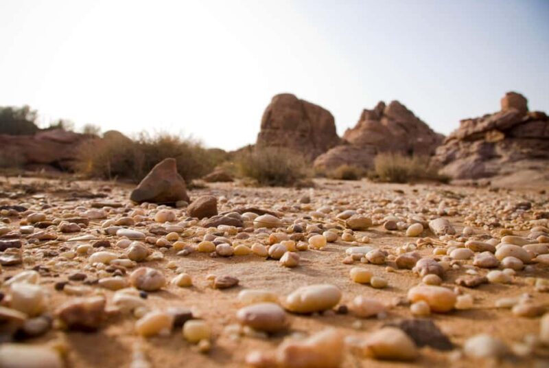 Wadi Rum: 10 Hour Jeep Tour Pass, Camel, Sandbording & Lunch - An In-Depth Look at the Wadi Rum Experience