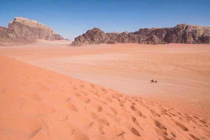 Wadi Rum: 4 Hour Highlights Tour - The Sum Up