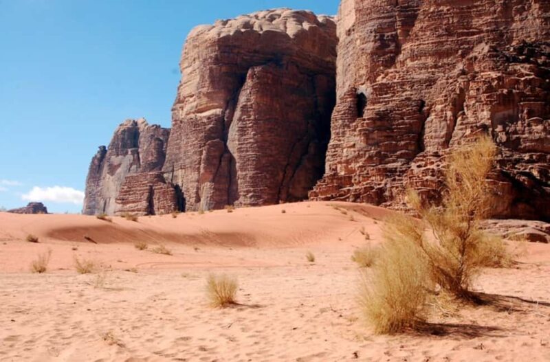 Wadi Rum: 4x4 Full day Tour with Bedouin Guide and Sunset - Key Points  
