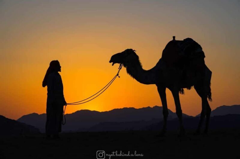 Wadi Rum: Camel Ride with tea and Bedouin Guide - Practical Tips for Travelers