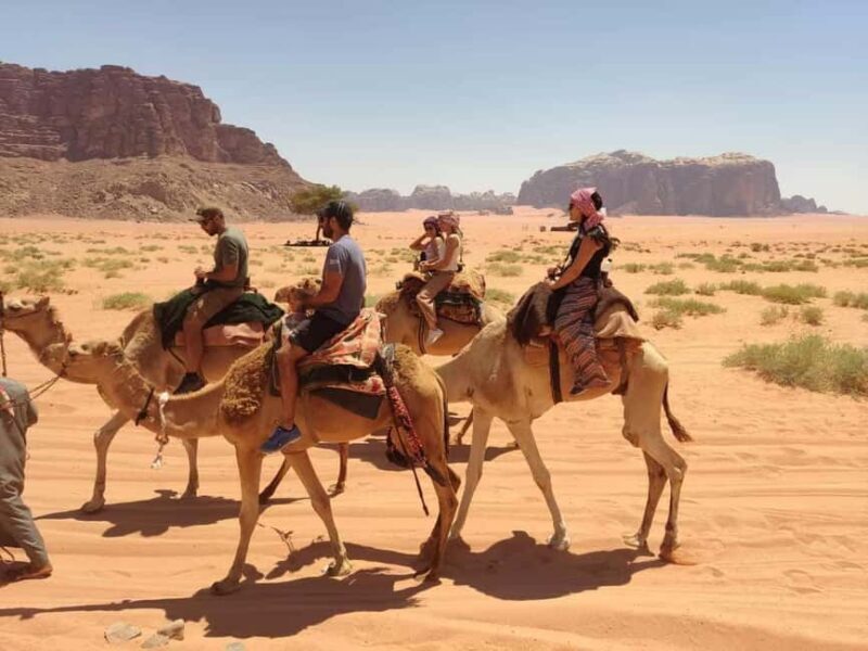 Wadi Rum: Camel Ride with tea and Bedouin Guide - Who Should Consider This Tour?