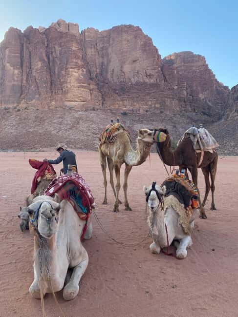 Wadi Rum: camel ride with traditional tea tasting - The Sum Up  