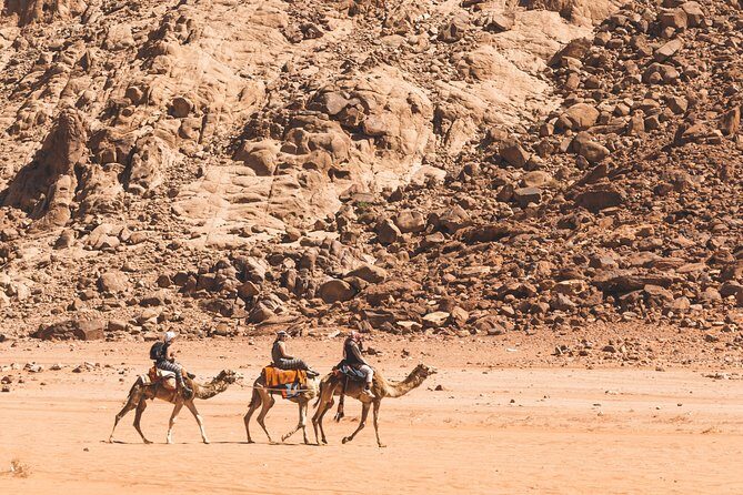 Wadi Rum: Camel Trek Adventure - An Authentic Camel Trek in Wadi Rum: What to Expect