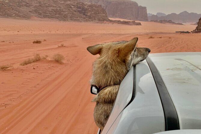 Wadi Rum Cave Camping with Jeep Tour - Final Thoughts