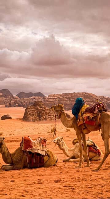 Wadi Rum: Full-Day Jeep Tour with Bedouin Dinner and Cave - An In-Depth Look at the Wadi Rum Jeep Tour Experience