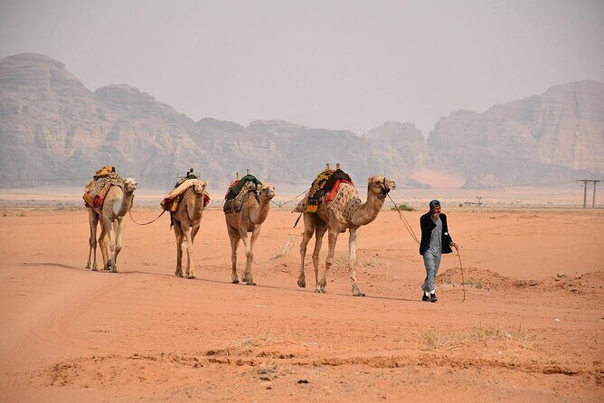 Wadi Rum Full-Day Private Tour from Amman or Airport - Who Should Consider This Tour?