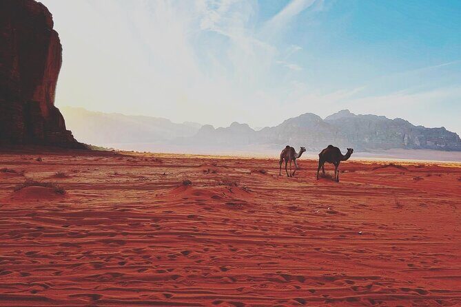 Wadi Rum Half-Day 4x4 and Camel Tour - Final Thoughts: Who Should Consider This Tour?