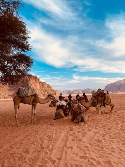 Wadi Rum: jeep tour, bed, breakfast and dinner - An In-Depth Look at the Wadi Rum Jeep Tour Experience