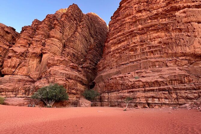 Wadi Rum Short Tours - Why This Tour Might Be Perfect for You