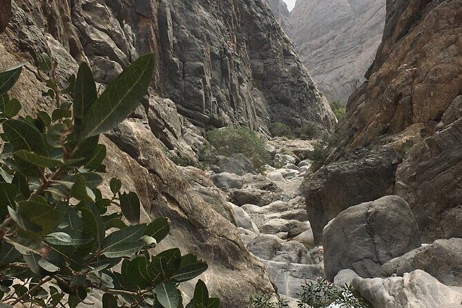 Wadi Shab and Bimmah Sinkhole Full Day Tour - Discovering Wadi Shab: A Natural Wonder