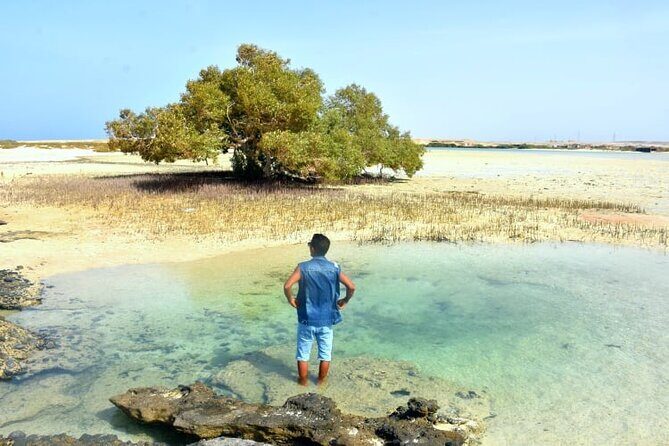 Wady Elgemal National Park Marsa alam - The Sum Up  