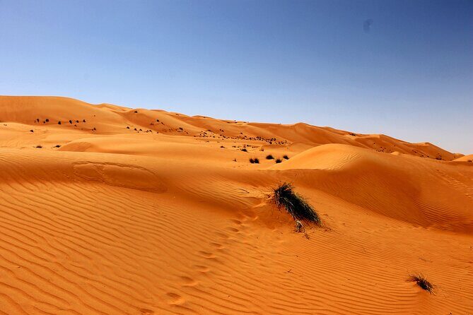 Wahiba Sands and Wadi Bani Khalid Day Tour - Final Thoughts