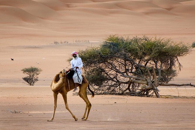 Wahiba Sands Desert with Wadi Bani Khalid Tour by 4X4 - The Experience: A Full Breakdown of the Tour