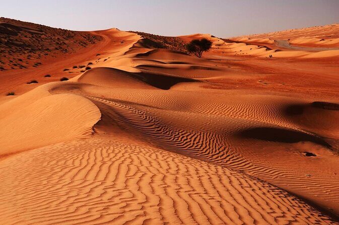 Wahiba Sands Safari with Wadi swimming and Camelride - Exploring the Wahiba Sands Safari with Wadi Swimming and Camel Ride: An In-Depth Review