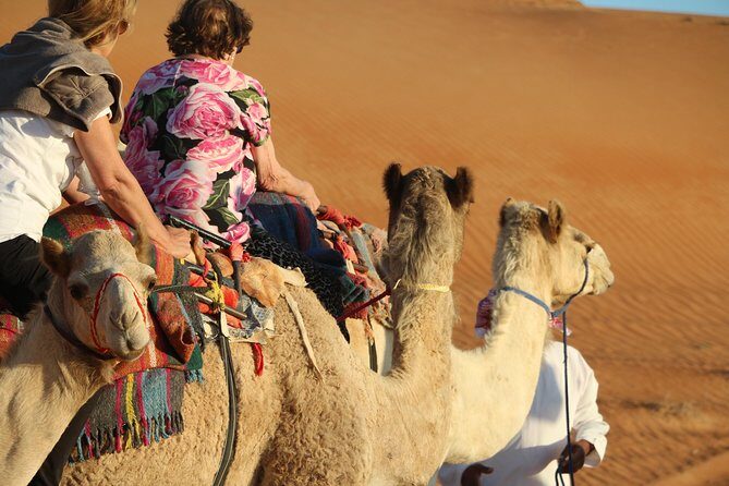 Wahiba Sands Safari with Wadi swimming and Camelride - Key Points