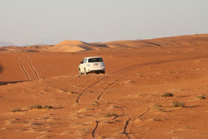 Wahiba Sands Safari with Wadi swimming and Camelride - Pricing and Value: Is It Worth It?