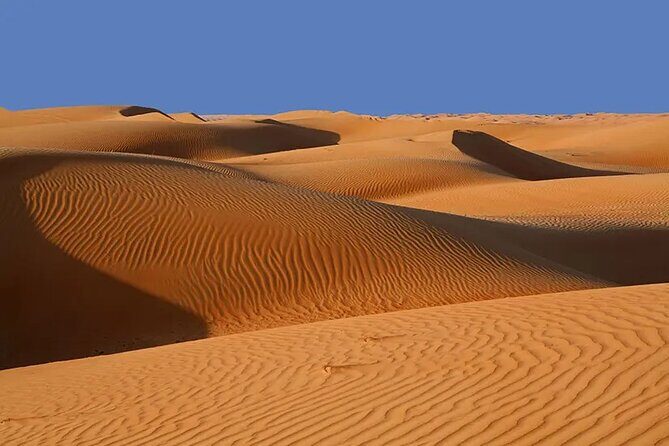 Wahiba Sands Tour - Exploring the Itinerary: What to Expect