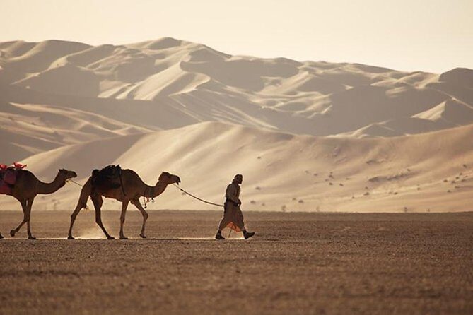 Wahiba Sands&Wadi Bani Khalid desert Safari(Muscat tours) : Private tours - Overview of the Wahiba Sands & Wadi Bani Khalid Tour