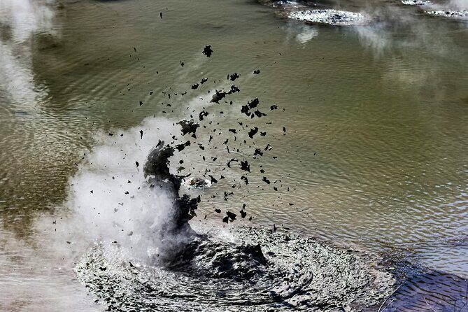 Wai O Tapu Secret spot Hot Tubs and Waitomo Glowworm Caves Tour - What Reviewers Say