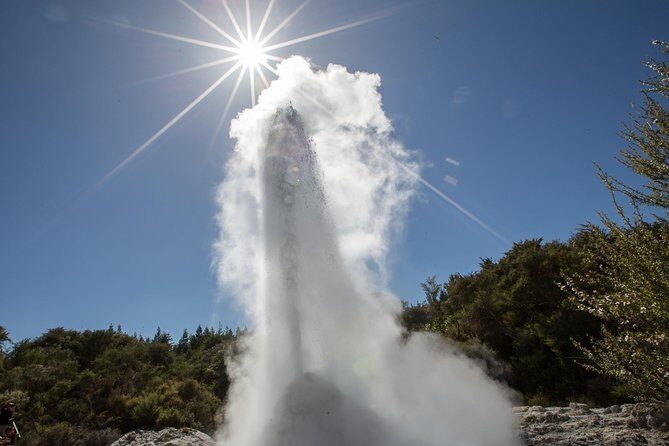 Wai-O-Tapu Thermal Wonderland, Rotorua, New Zealand - Authentic Insights from Visitors