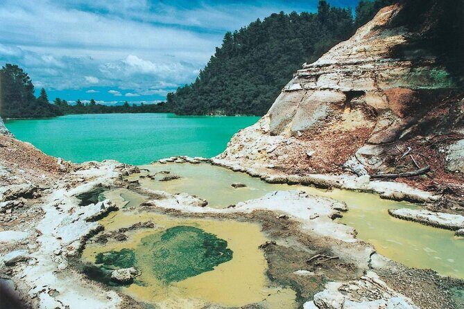 Wai-O-Tapu & Wai Ariki Hot Springs Small Group Tour in Auckland - Key Points