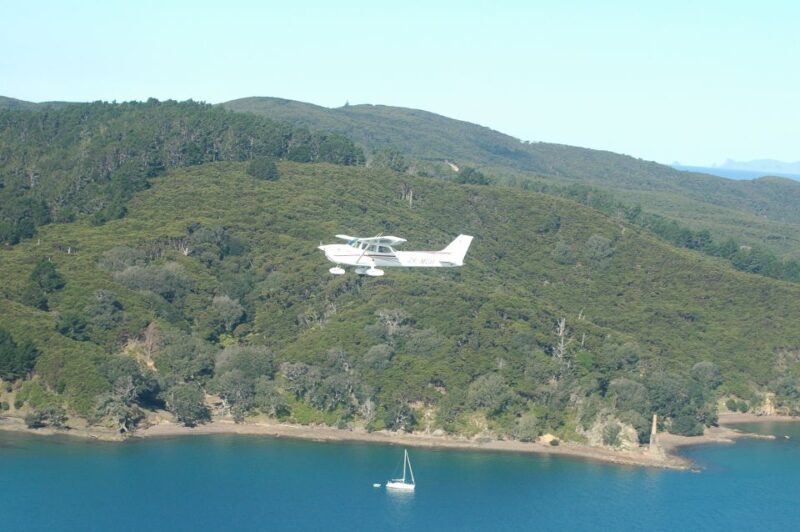 Waiheke Island: 30-Minute Scenic Flight - Who Will Love This Tour?